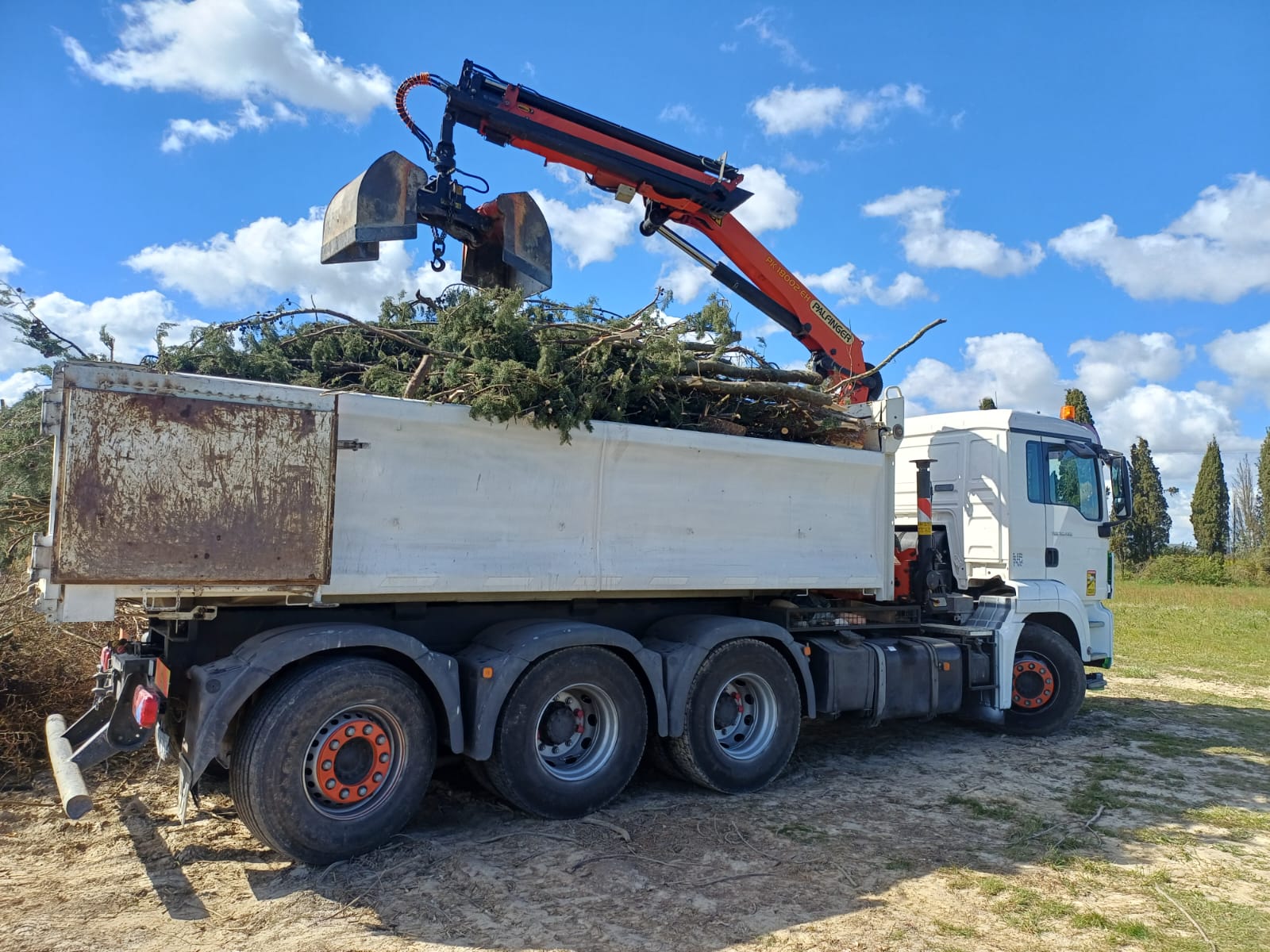 Camion rempli de branchages et déchets verts